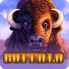 Buffalo